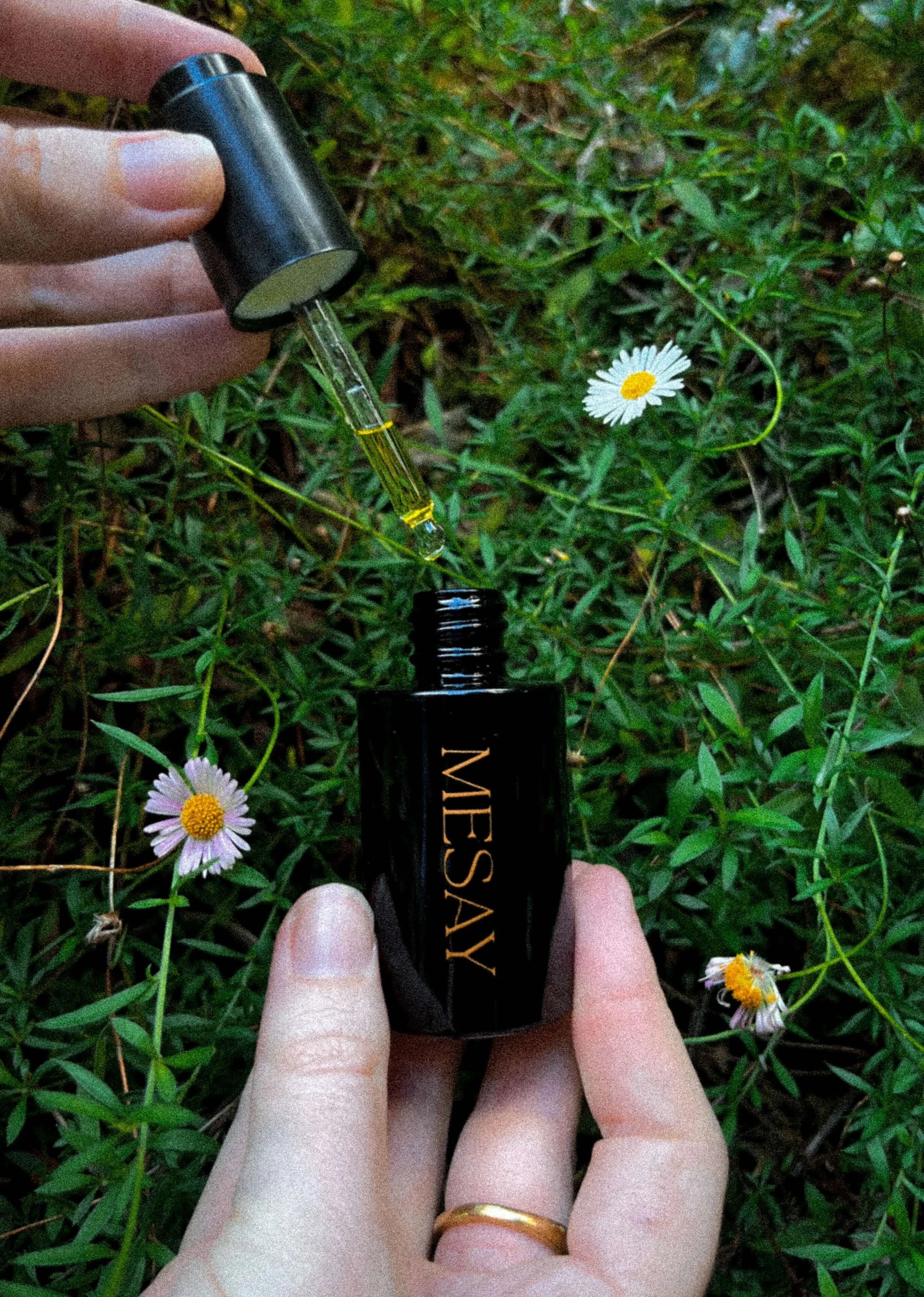 Chamomile flowers and facial oil. calming skincare blend