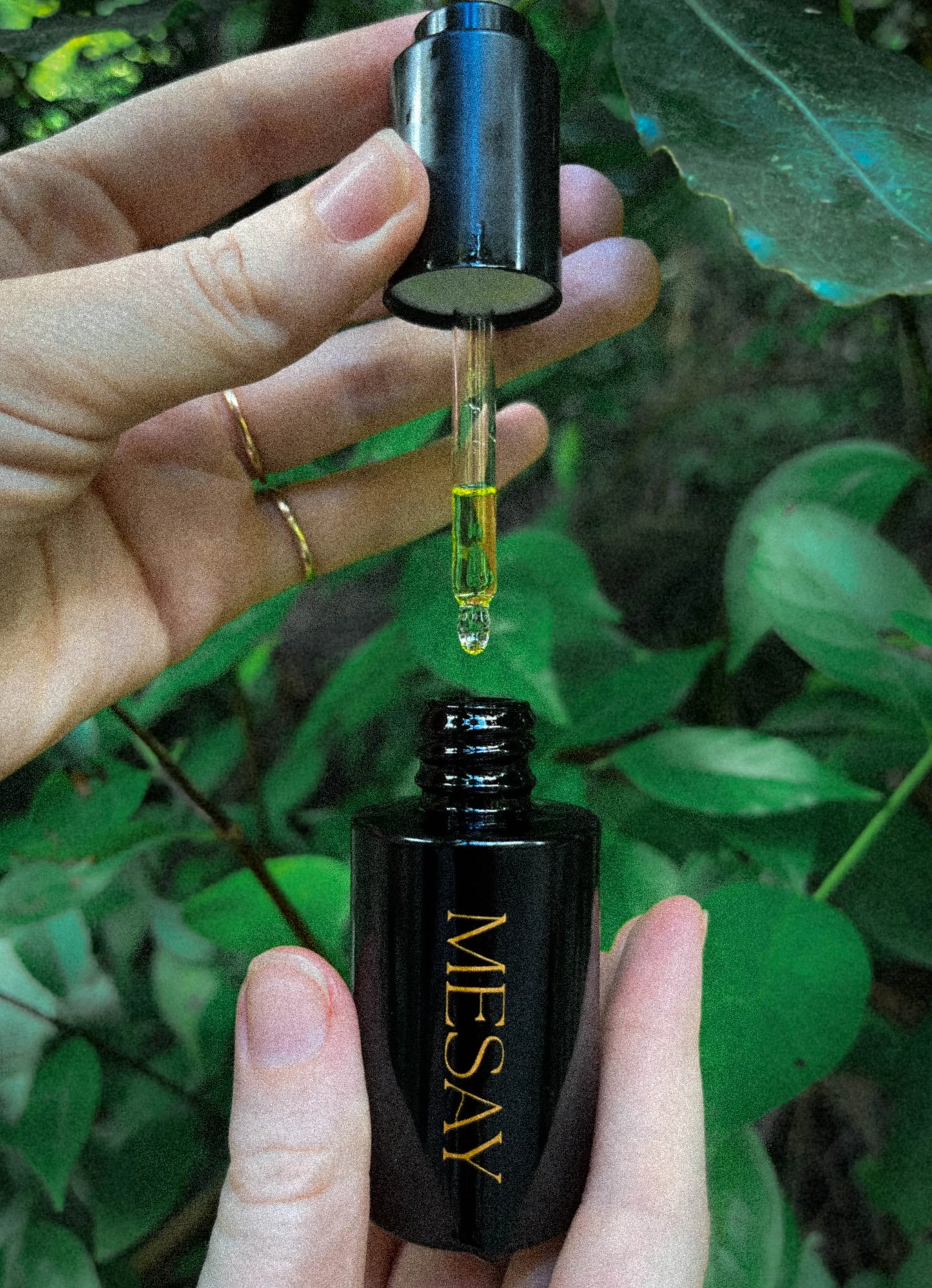 Dried rose petals and rosehip oil – natural ingredients in Mesay