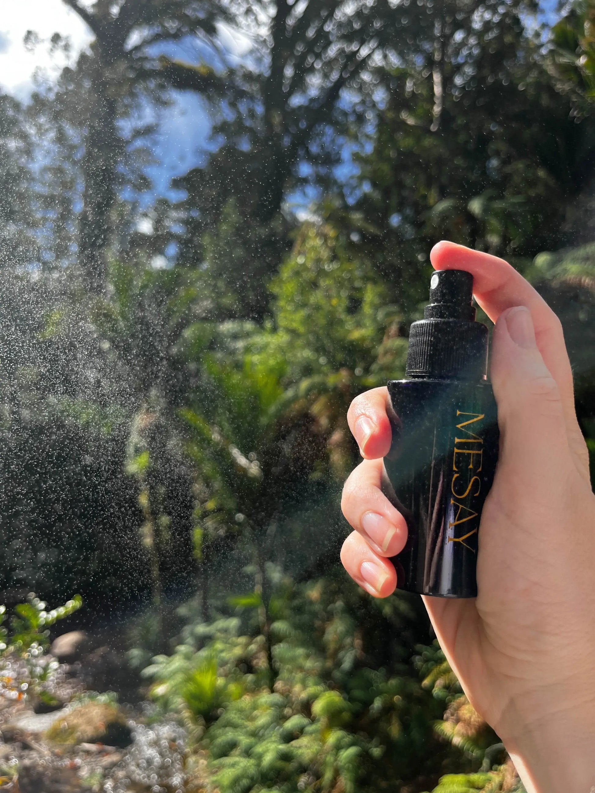 Geranium and aloe vera – natural botanicals in Mesay mist